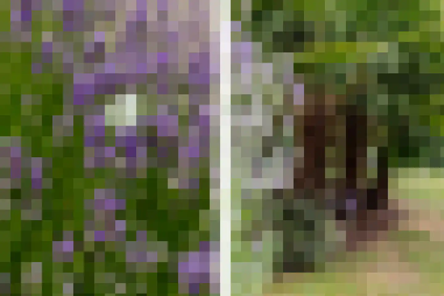 Muisbroekseweg 25 Giessenburg thumbnail 21