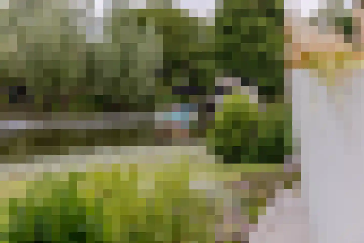 Muisbroekseweg 25 Giessenburg thumbnail 22