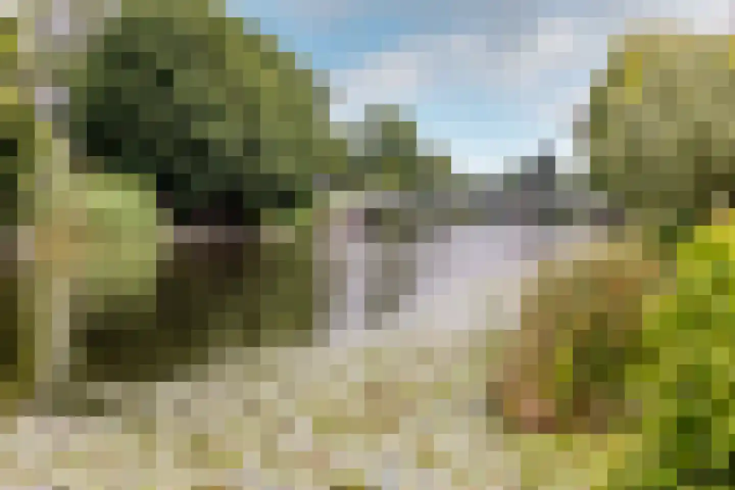Muisbroekseweg 25 Giessenburg thumbnail 23