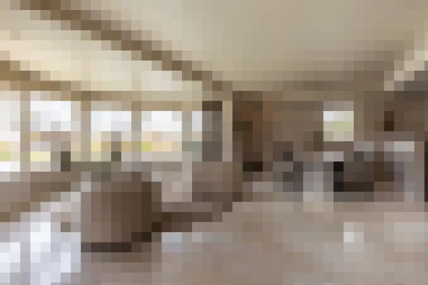 Muisbroekseweg 25 Giessenburg thumbnail 24