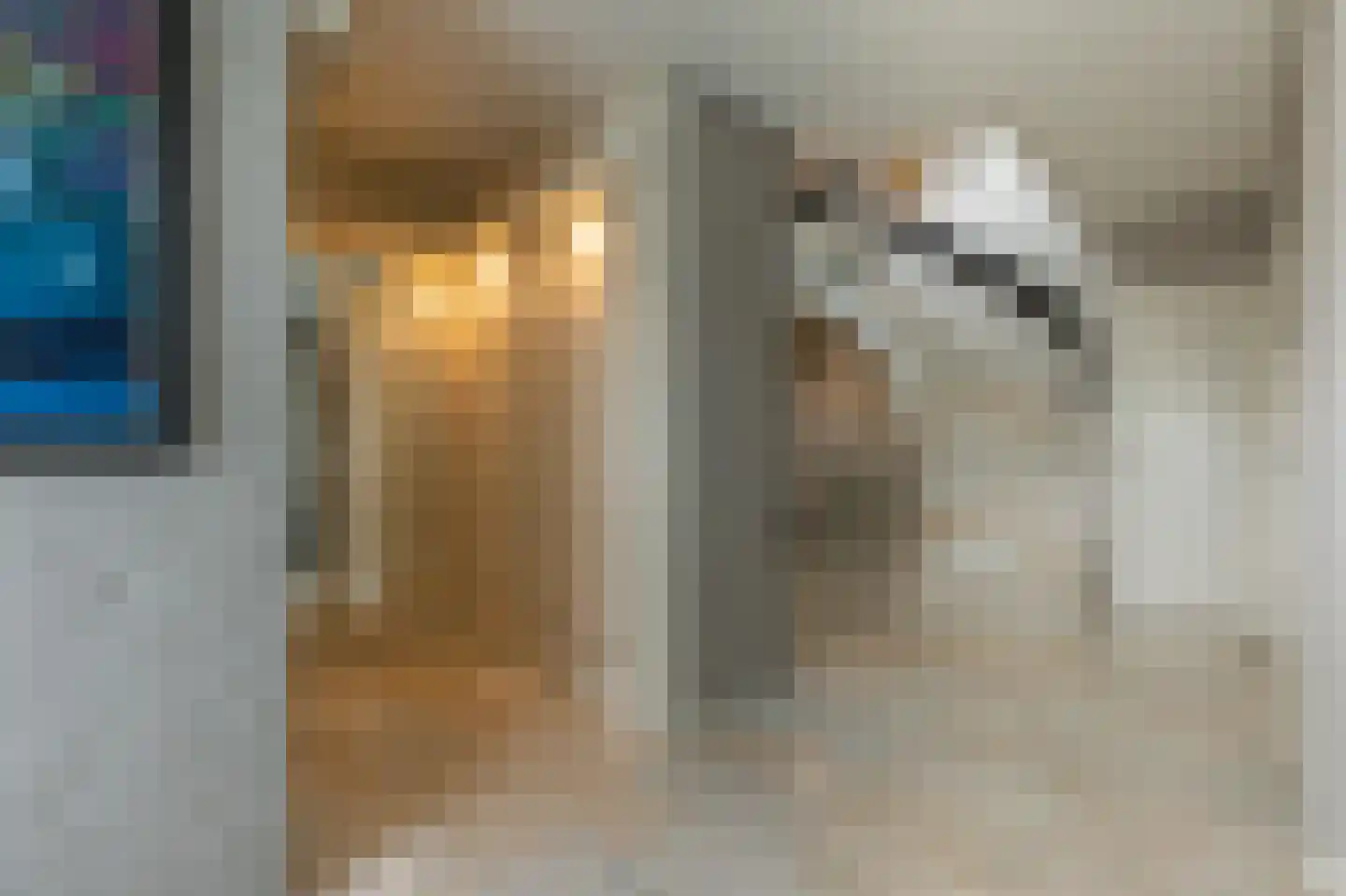 Muisbroekseweg 25 Giessenburg thumbnail 30