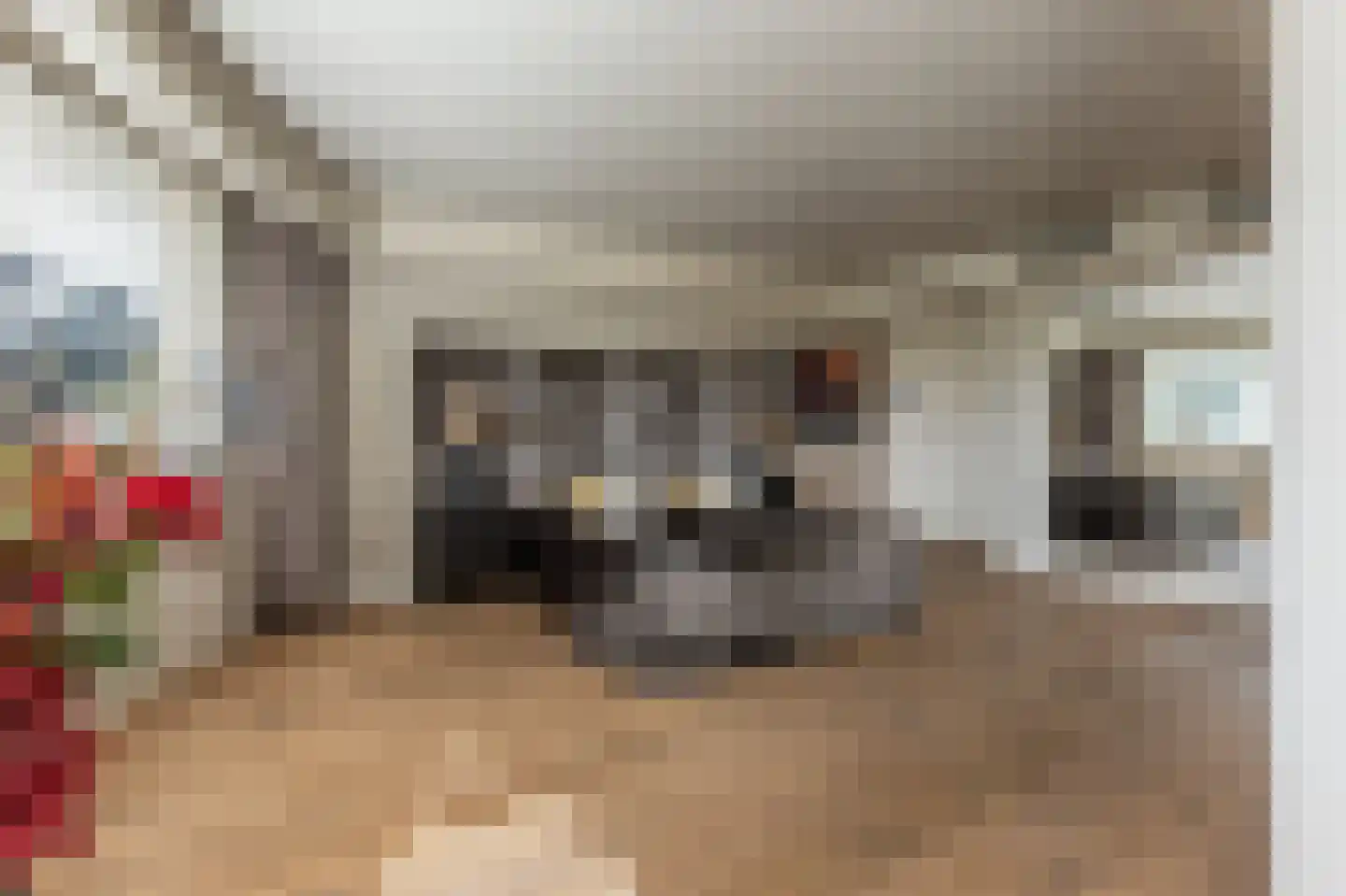 Muisbroekseweg 25 Giessenburg thumbnail 32