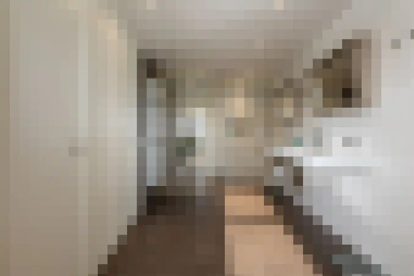 Muisbroekseweg 25 Giessenburg thumbnail 33
