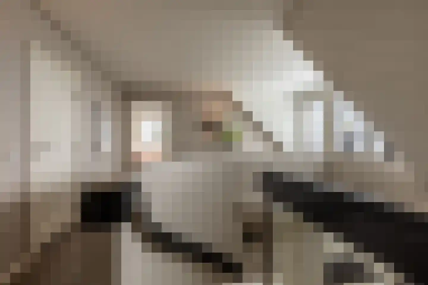 Muisbroekseweg 25 Giessenburg thumbnail 37