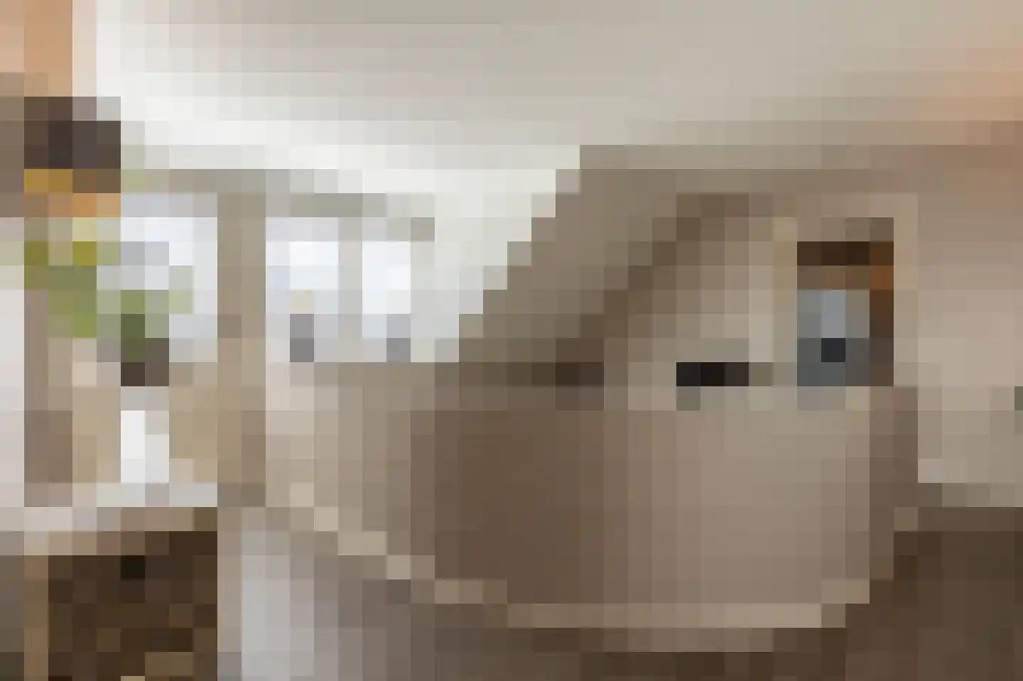 Muisbroekseweg 25 Giessenburg thumbnail 42