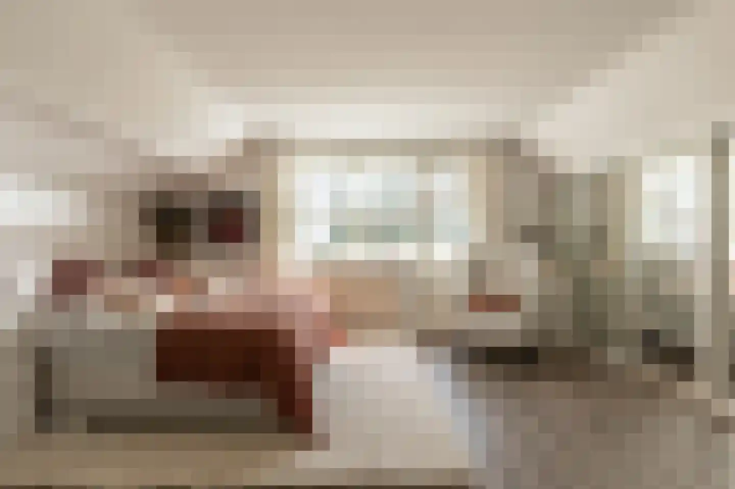 Muisbroekseweg 25 Giessenburg thumbnail 43