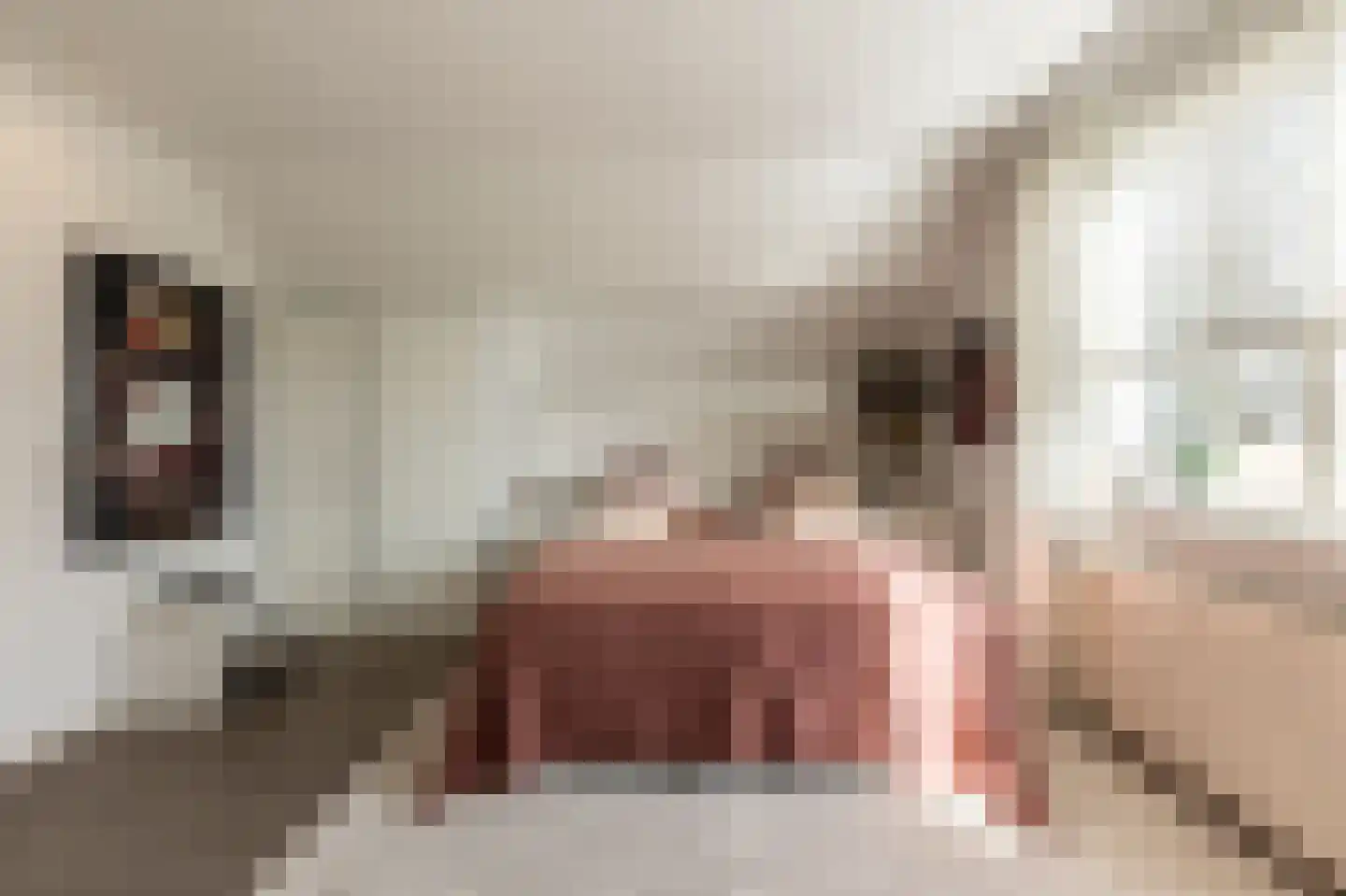 Muisbroekseweg 25 Giessenburg thumbnail 44