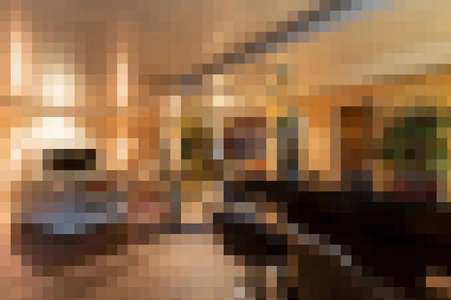 Muisbroekseweg 25 Giessenburg thumbnail 50