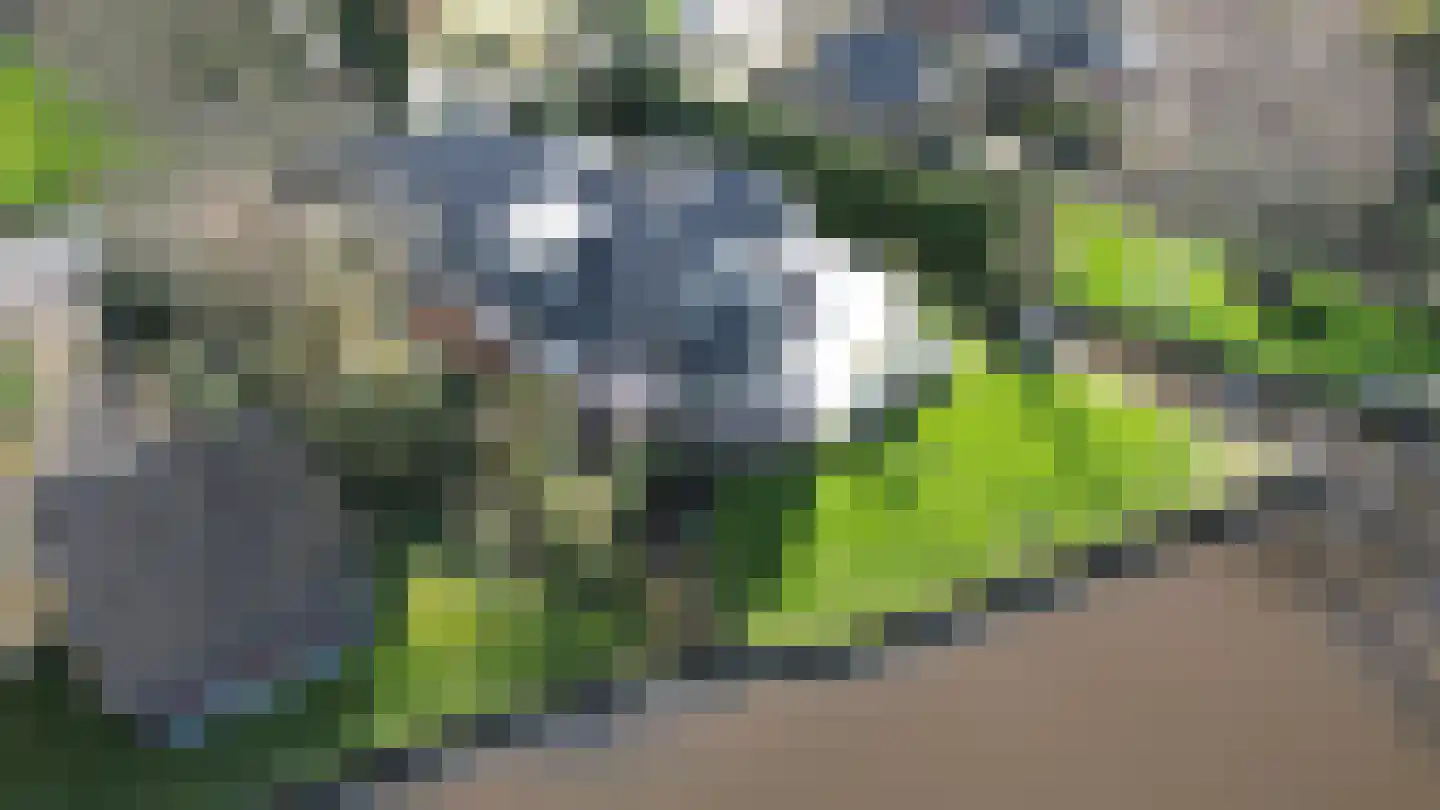 Muisbroekseweg 25 Giessenburg thumbnail 56
