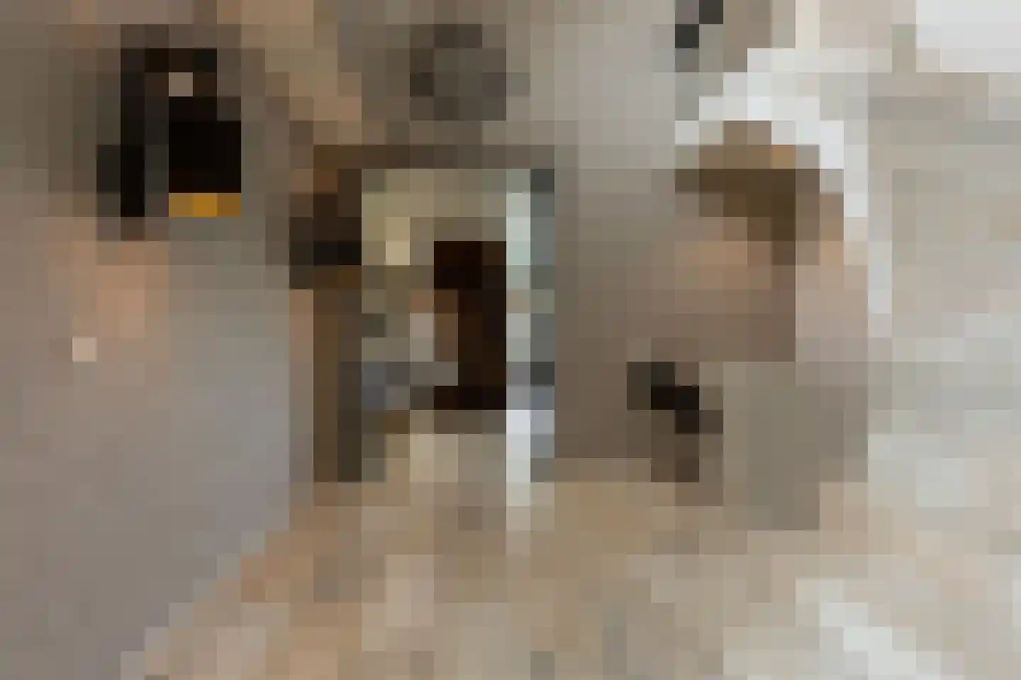 Muisbroekseweg 25 Giessenburg thumbnail 7