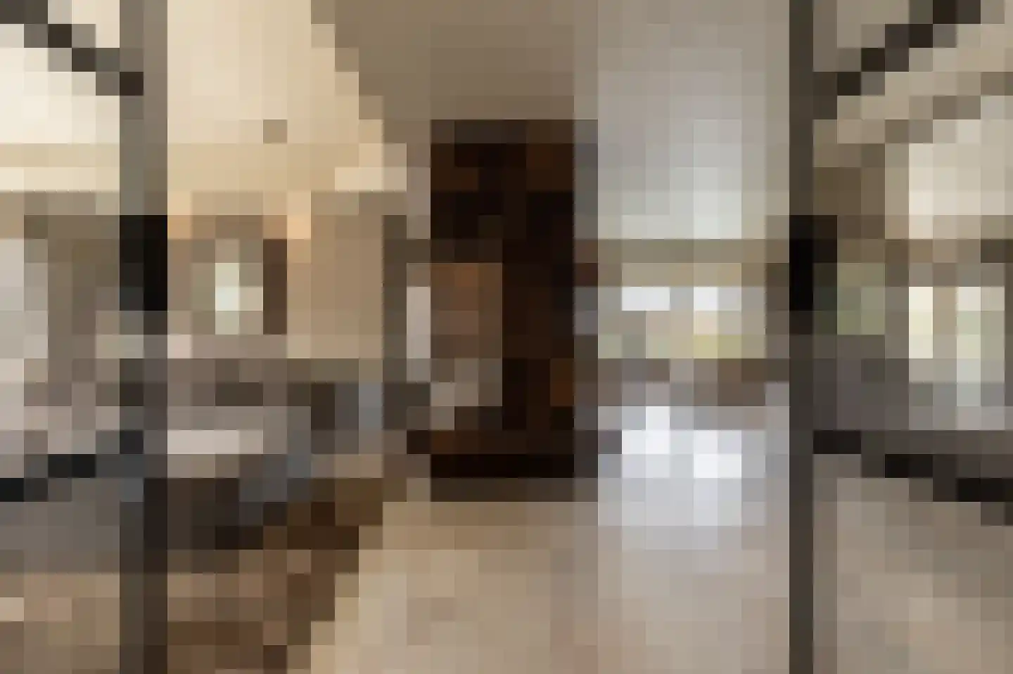 Muisbroekseweg 25 Giessenburg thumbnail 8