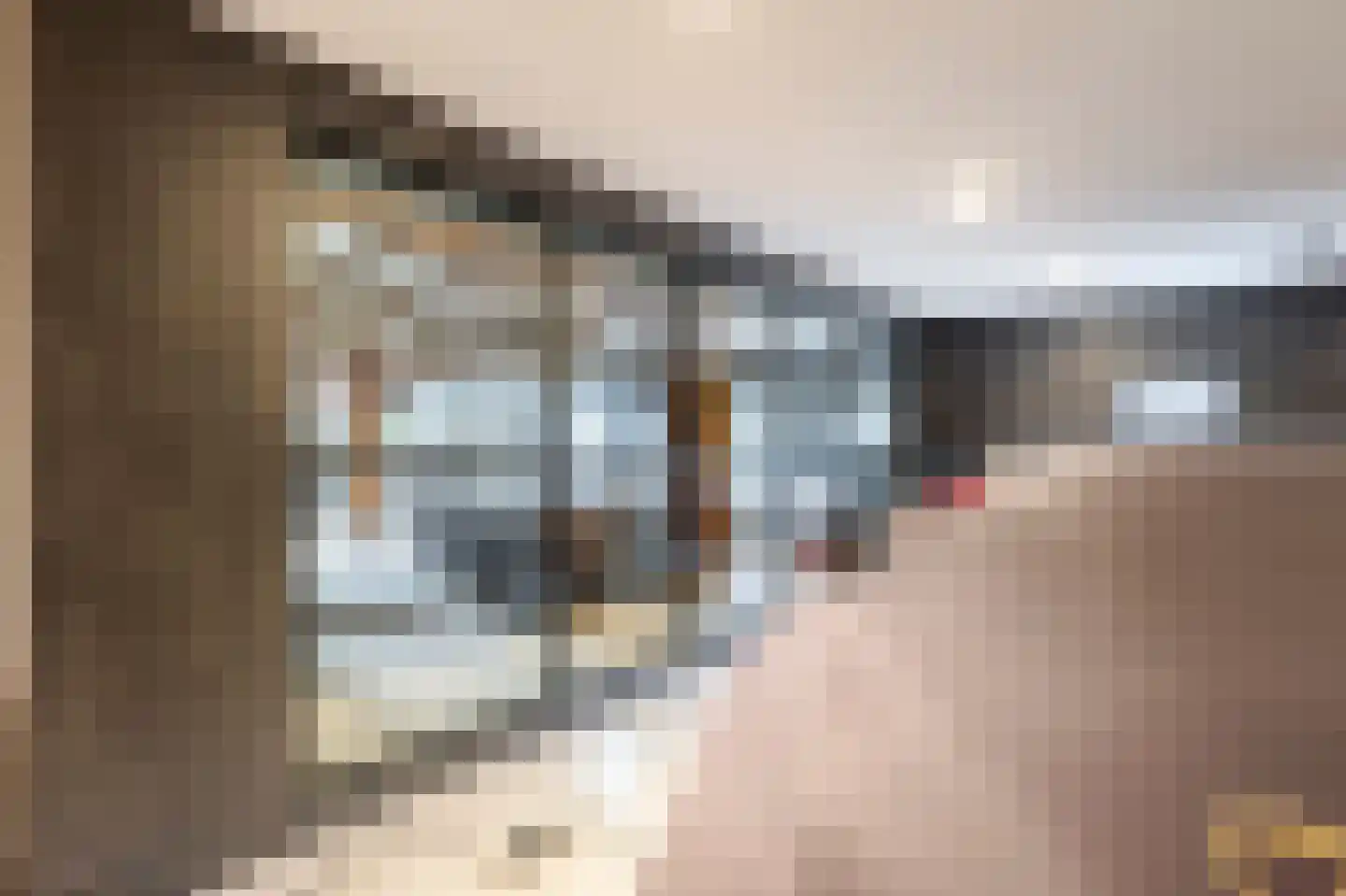 Muisbroekseweg 29 Giessenburg thumbnail 32