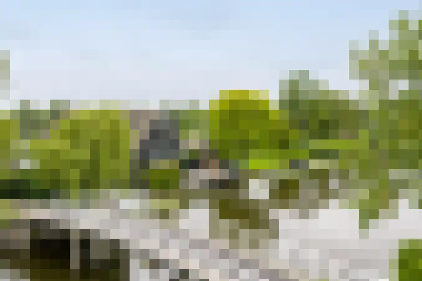 Muisbroekseweg 29 Giessenburg thumbnail 54
