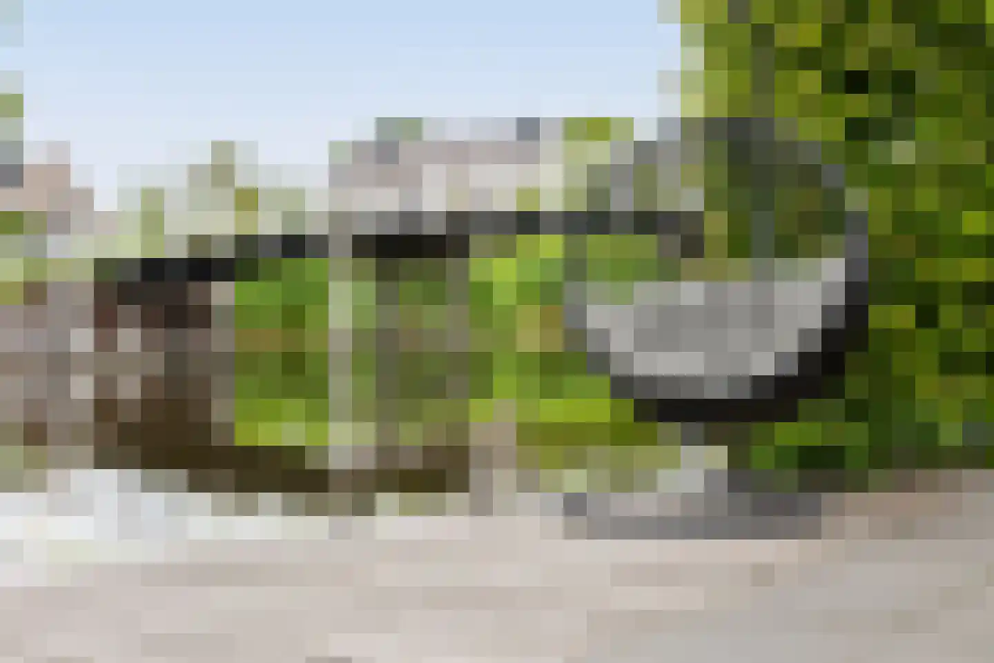 Muisbroekseweg 29 Giessenburg thumbnail 63