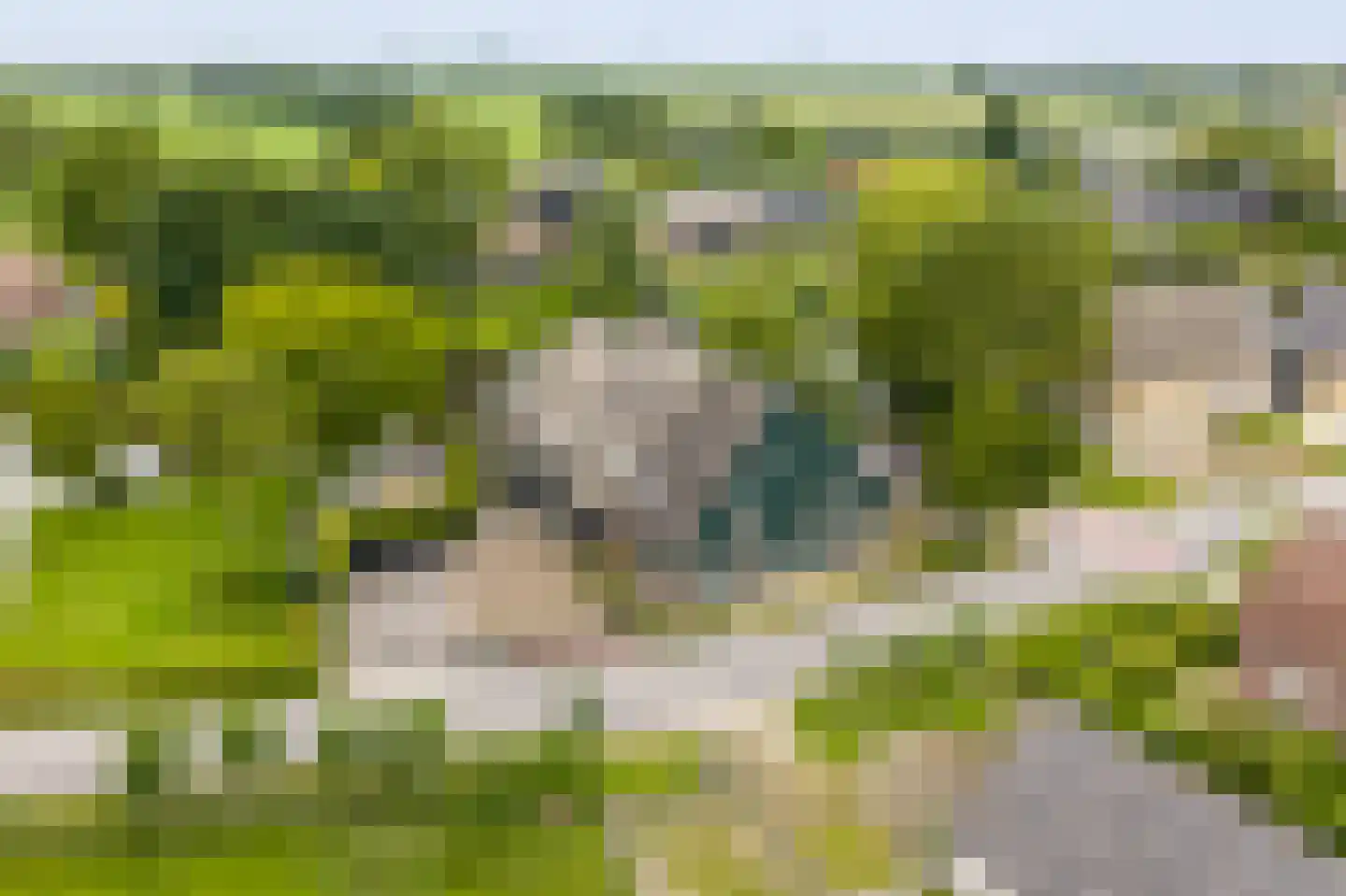 Muisbroekseweg 29 Giessenburg thumbnail 79