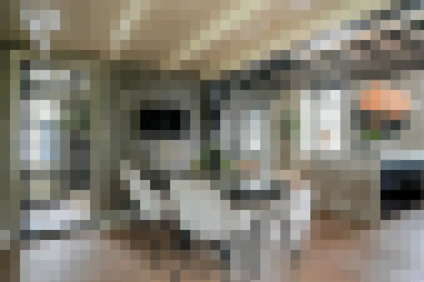 Muisbroekseweg 47 Giessenburg thumbnail 11