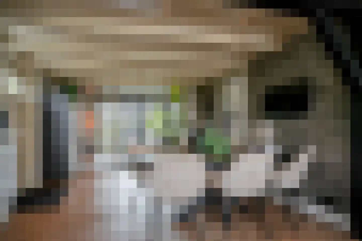 Muisbroekseweg 47 Giessenburg thumbnail 12