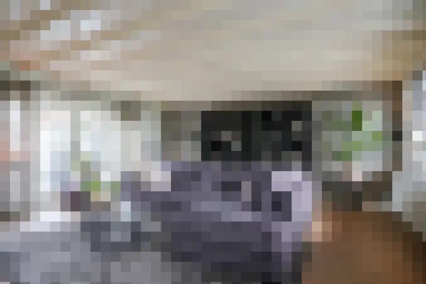 Muisbroekseweg 47 Giessenburg thumbnail 18