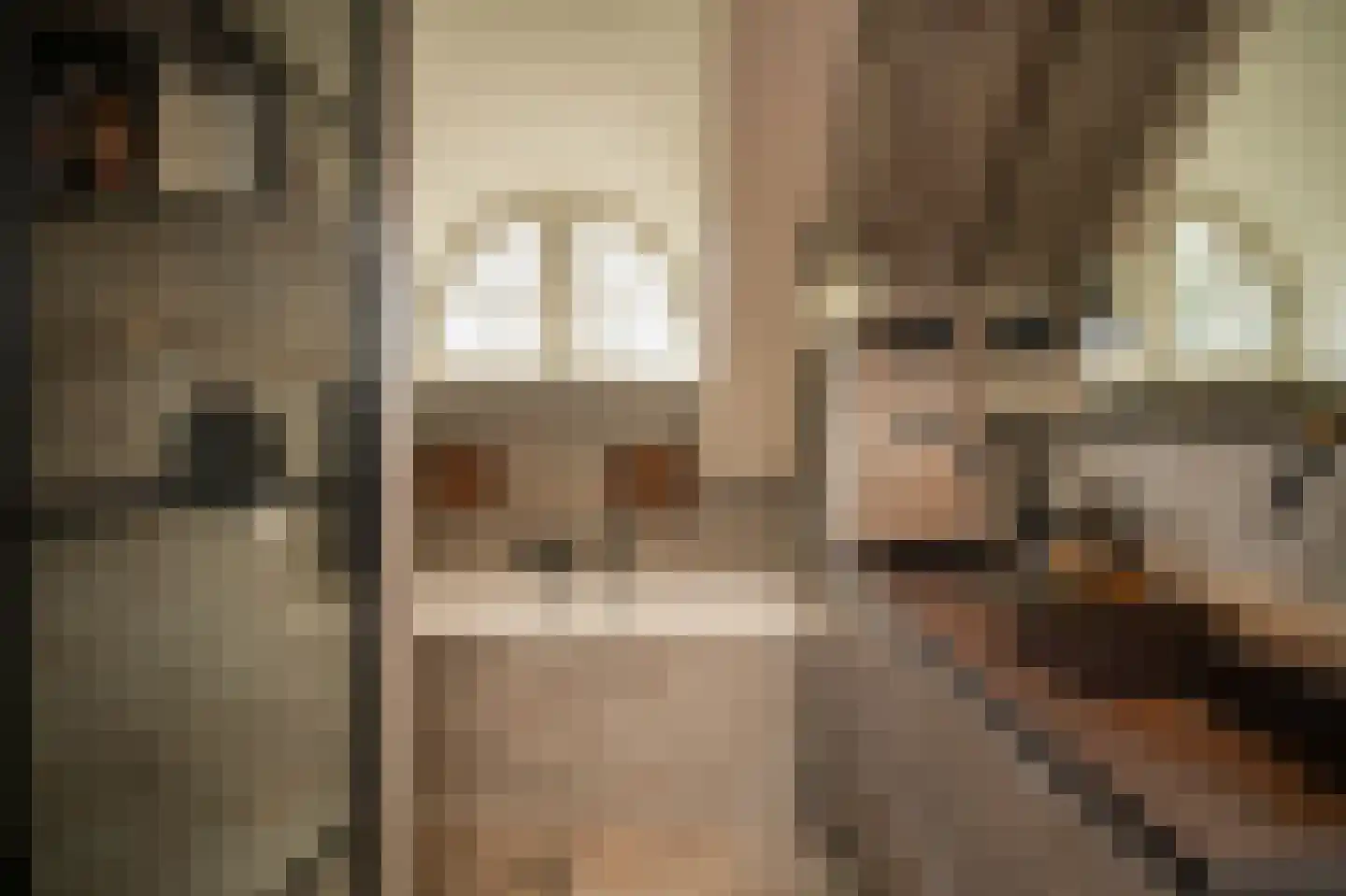 Muisbroekseweg 47 Giessenburg thumbnail 27