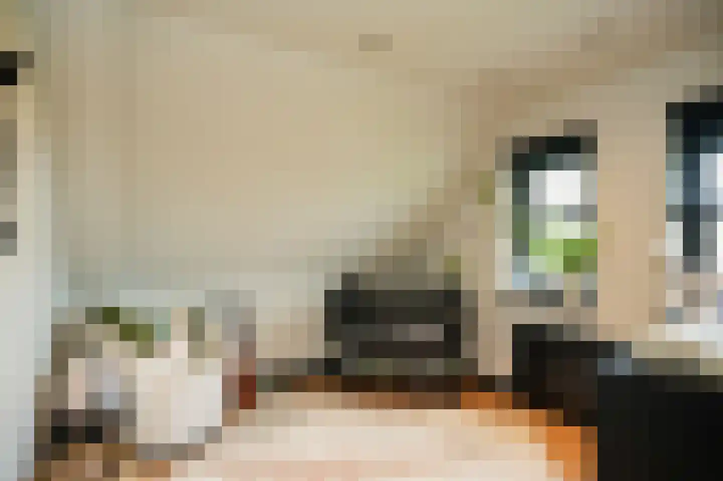 Muisbroekseweg 47 Giessenburg thumbnail 31