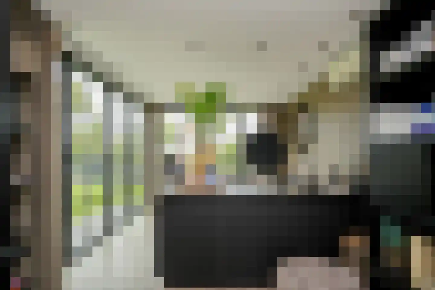 Muisbroekseweg 47 Giessenburg thumbnail 34