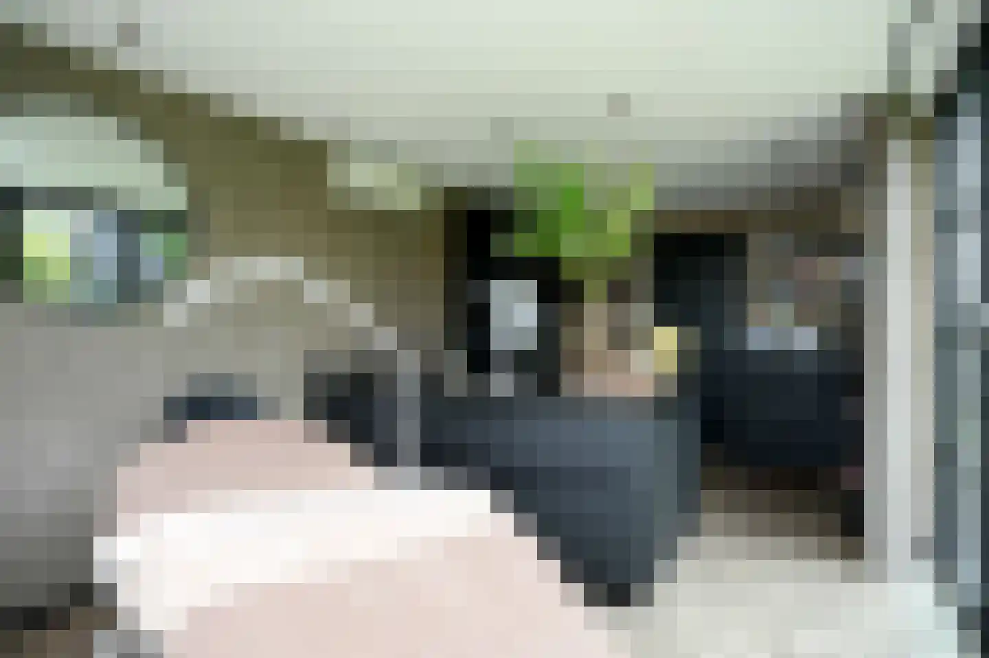 Muisbroekseweg 47 Giessenburg thumbnail 36