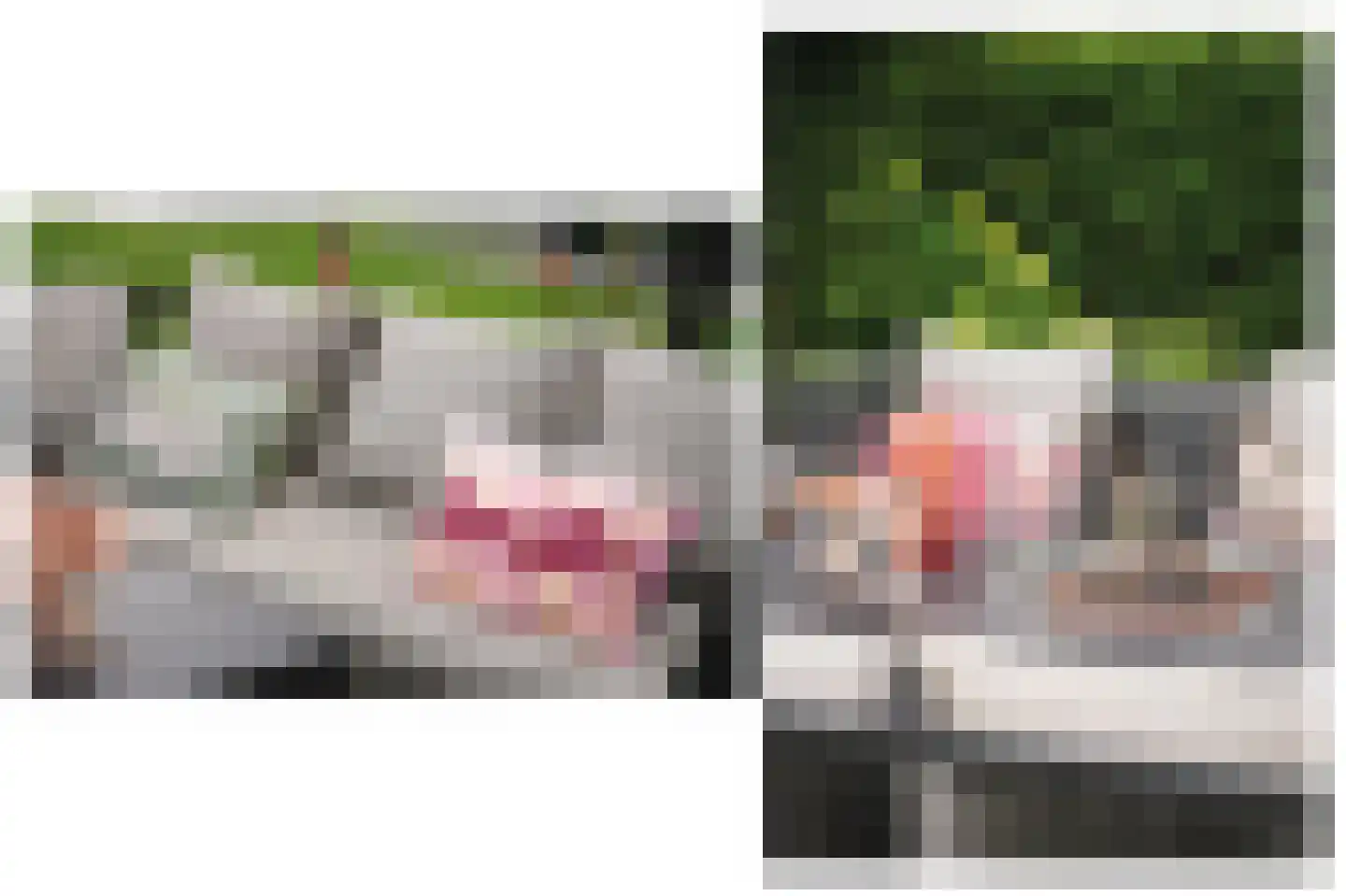 Muisbroekseweg 47 Giessenburg thumbnail 38