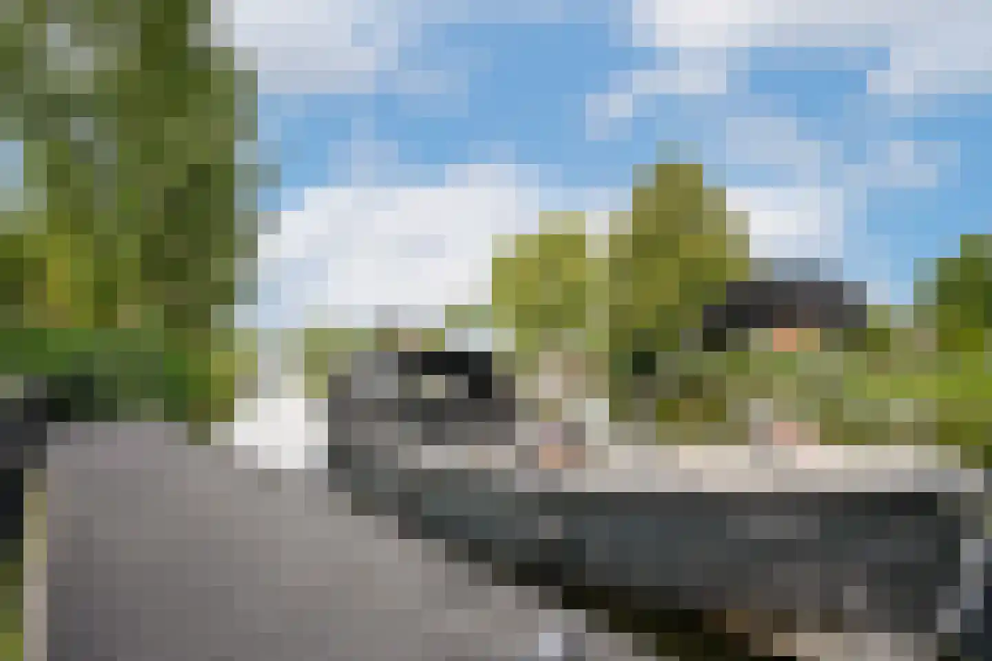 Muisbroekseweg 47 Giessenburg thumbnail 41