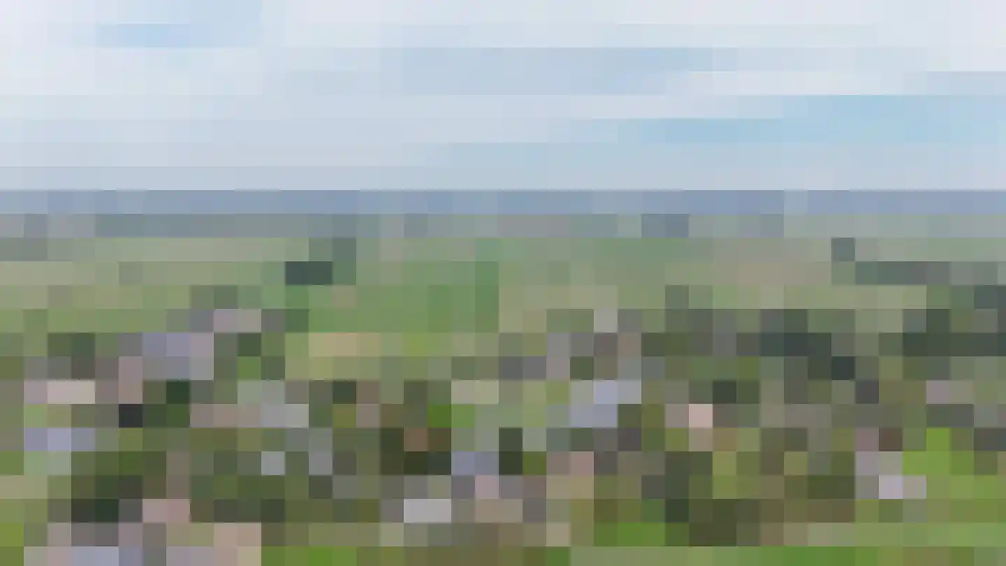 Muisbroekseweg 47 Giessenburg thumbnail 49