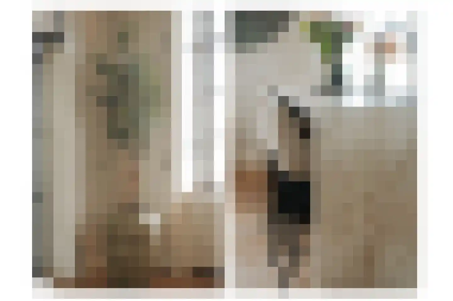 Muisbroekseweg 47 Giessenburg thumbnail 7
