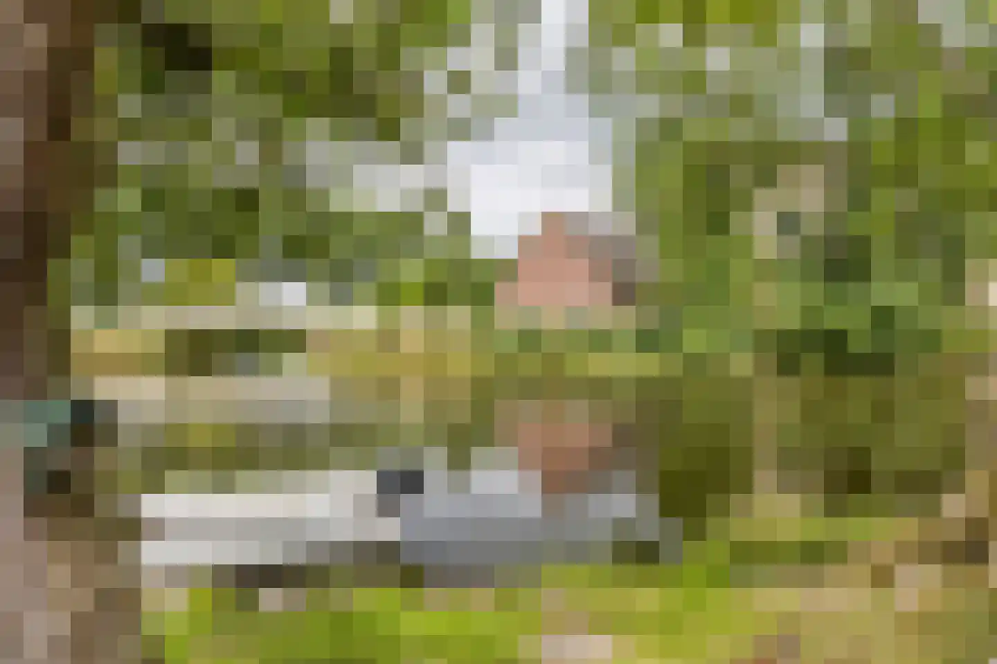 Muisbroekseweg 9 Giessenburg thumbnail 16