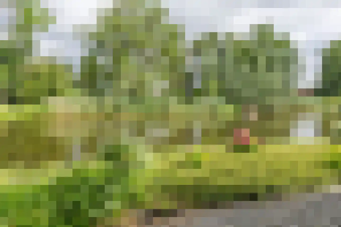 Muisbroekseweg 9 Giessenburg thumbnail 17