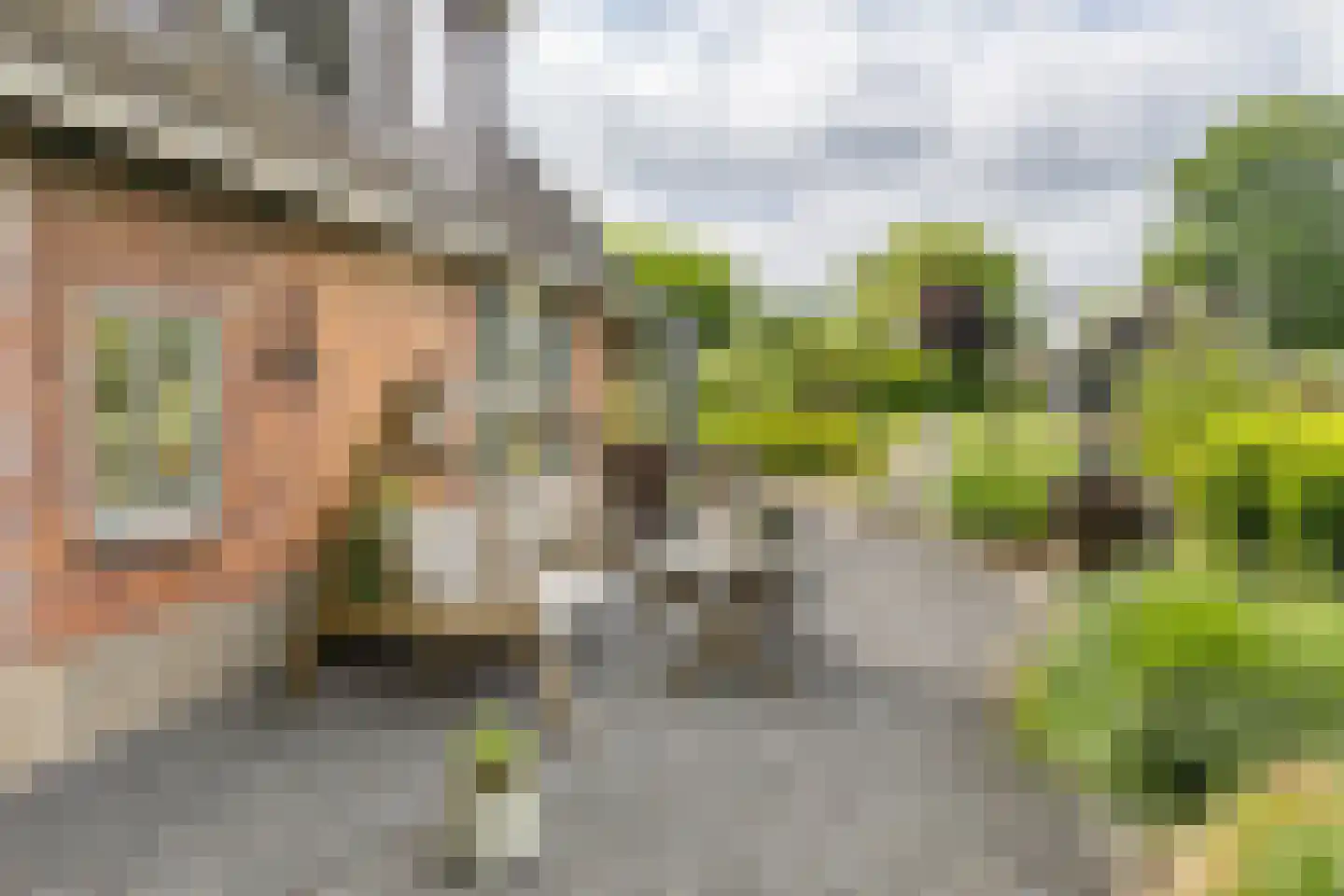 Muisbroekseweg 9 Giessenburg thumbnail 18