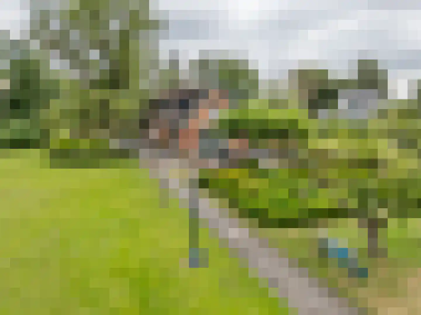 Muisbroekseweg 9 Giessenburg thumbnail 4