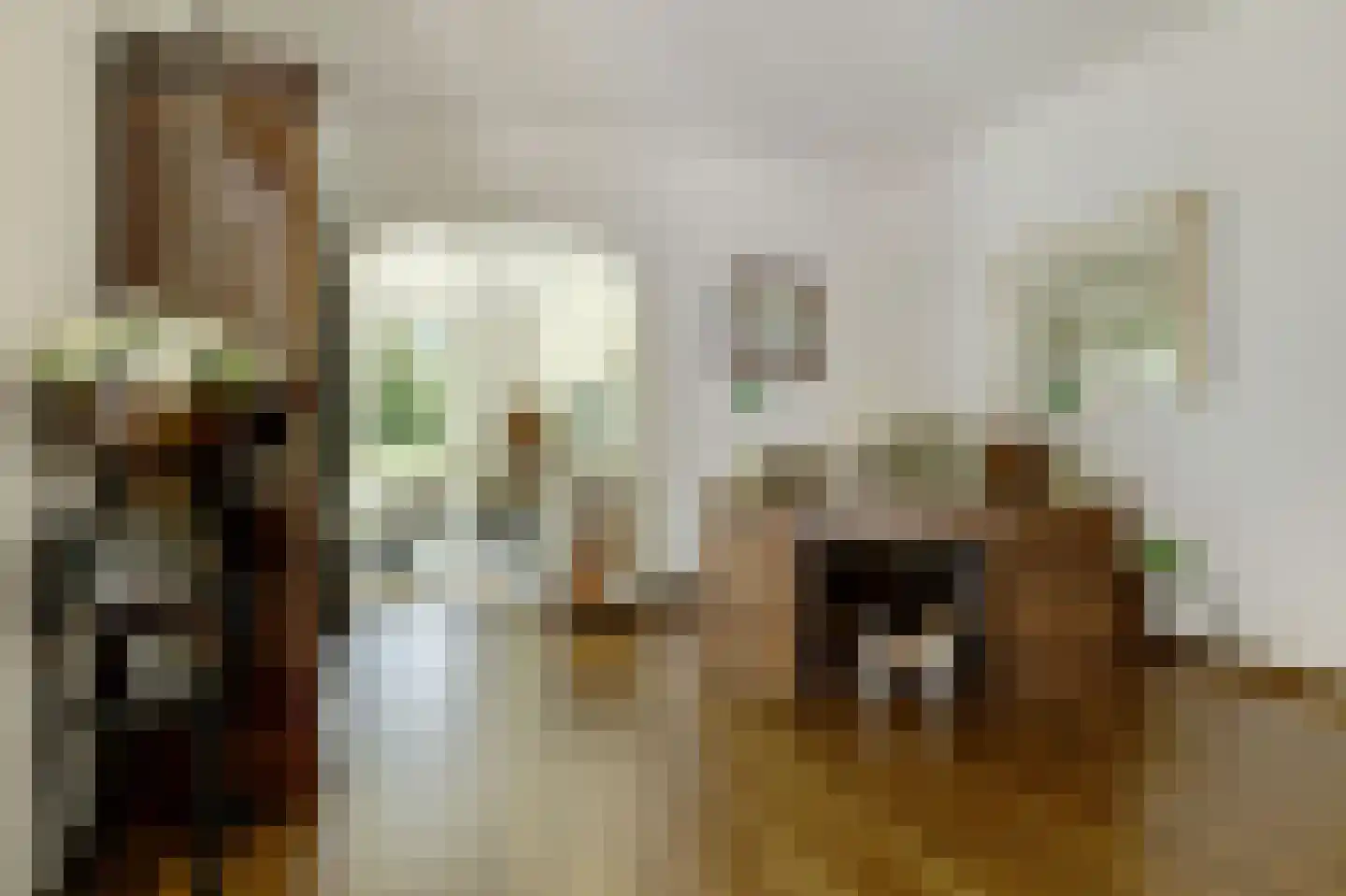Muizenberg 5 Son en Breugel thumbnail 12