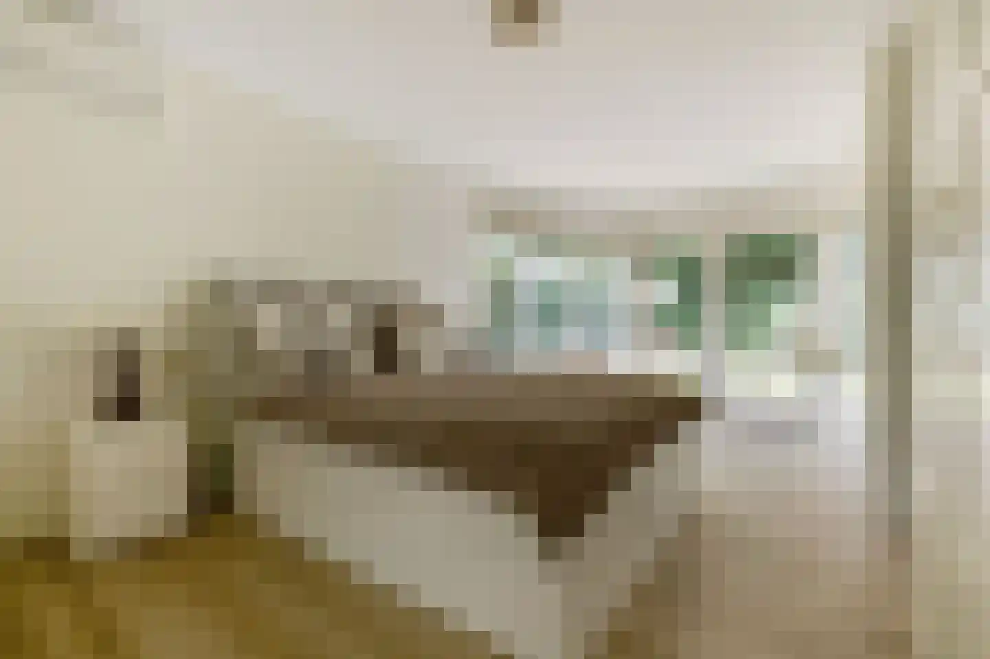 Muizenberg 5 Son en Breugel thumbnail 19