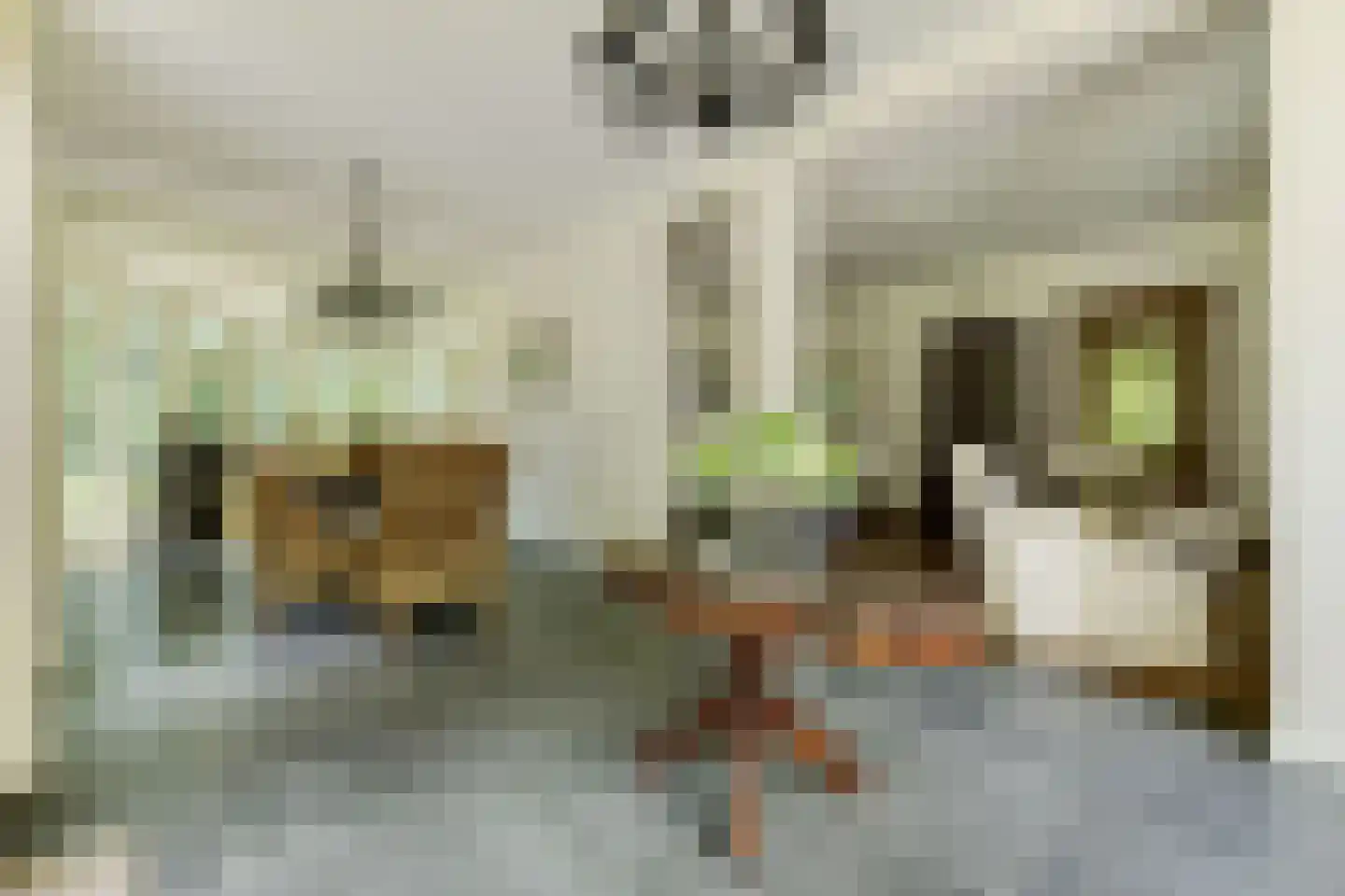 Muizenberg 5 Son en Breugel thumbnail 7