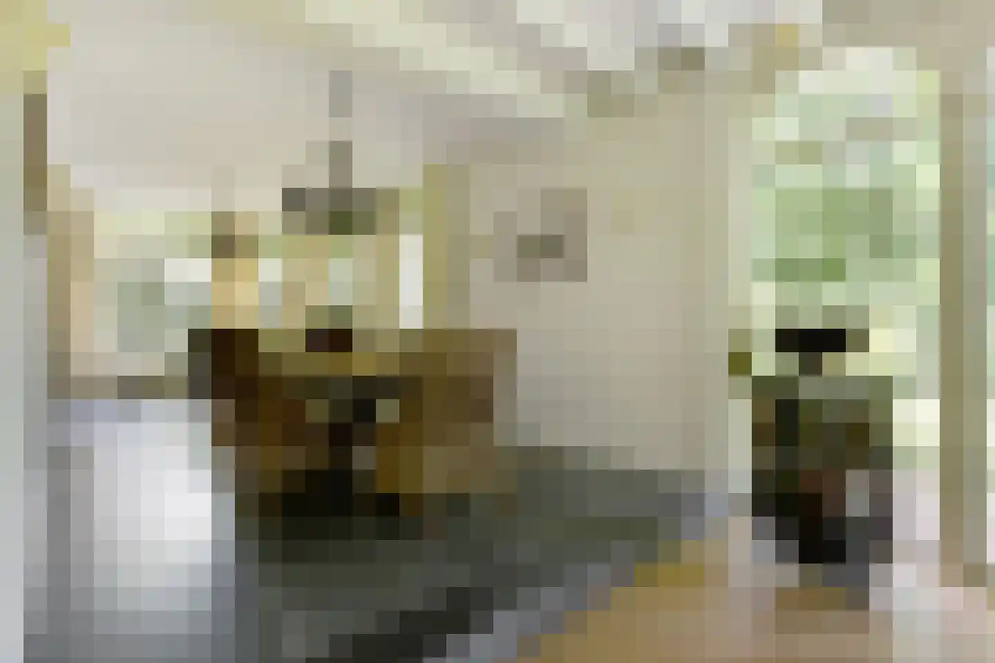 Muizenberg 5 Son en Breugel thumbnail 9