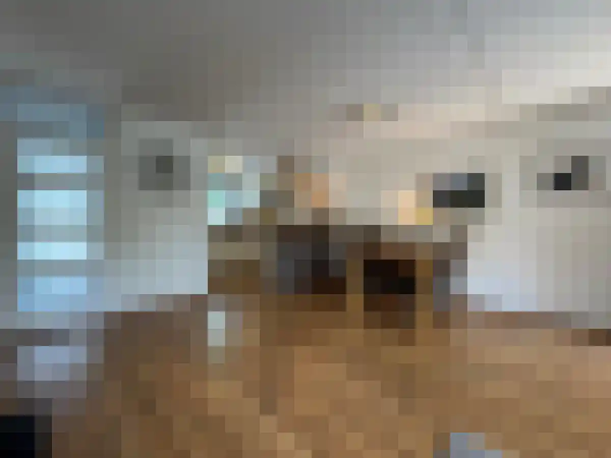 Muizenberglaan 128 Breda thumbnail 4