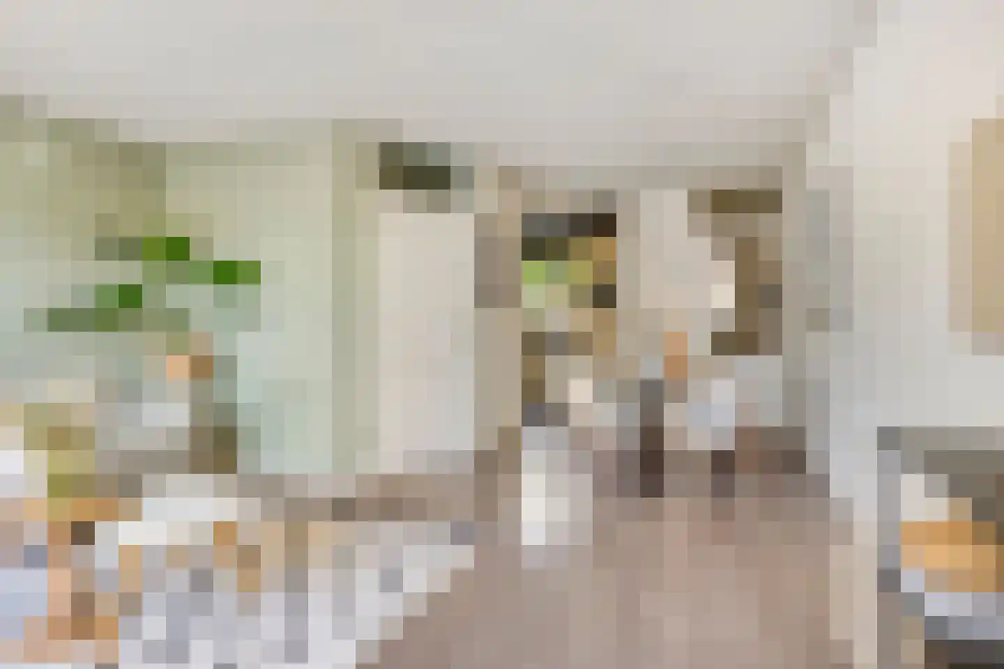 Muizenberglaan 83 Breda thumbnail 11