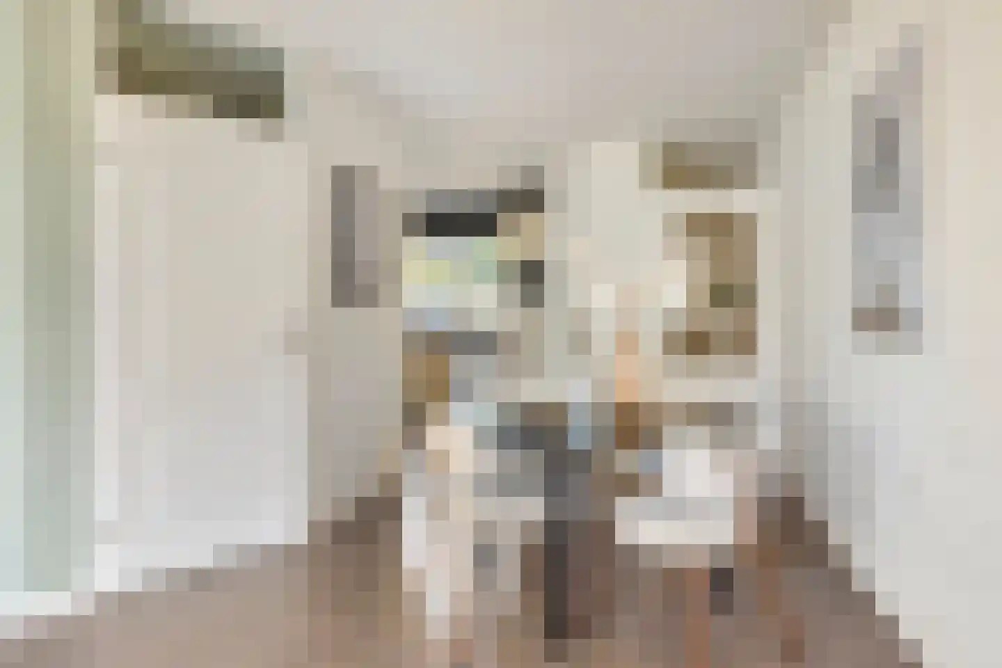 Muizenberglaan 83 Breda thumbnail 12