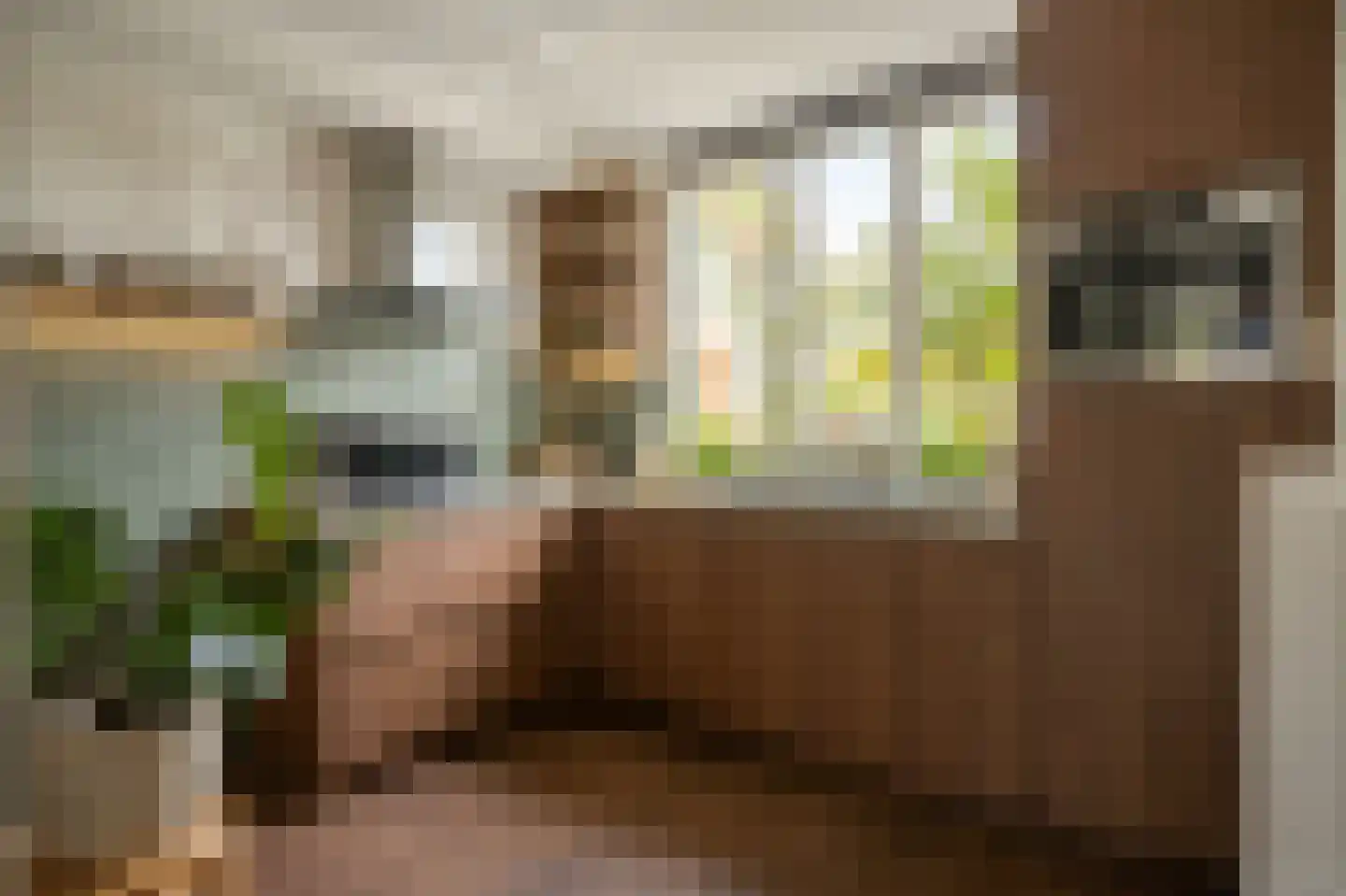 Muizenberglaan 83 Breda thumbnail 16