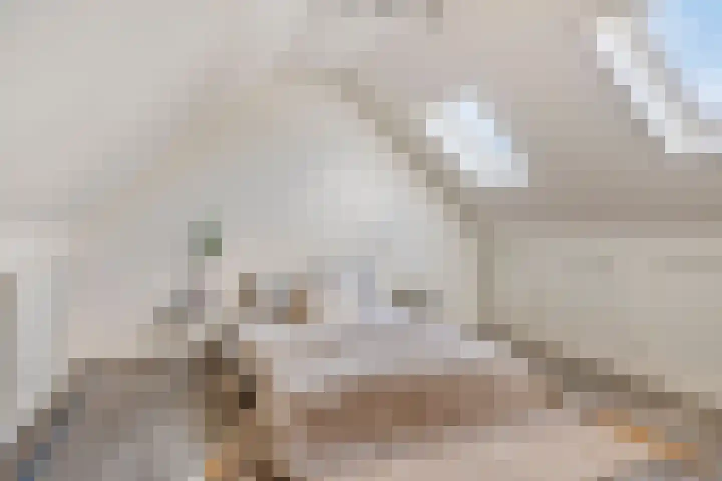 Muizenberglaan 83 Breda thumbnail 27