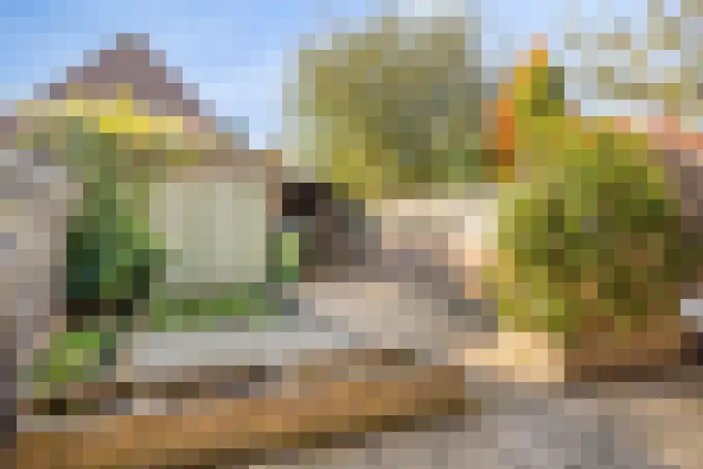 Muizenberglaan 83 Breda thumbnail 6