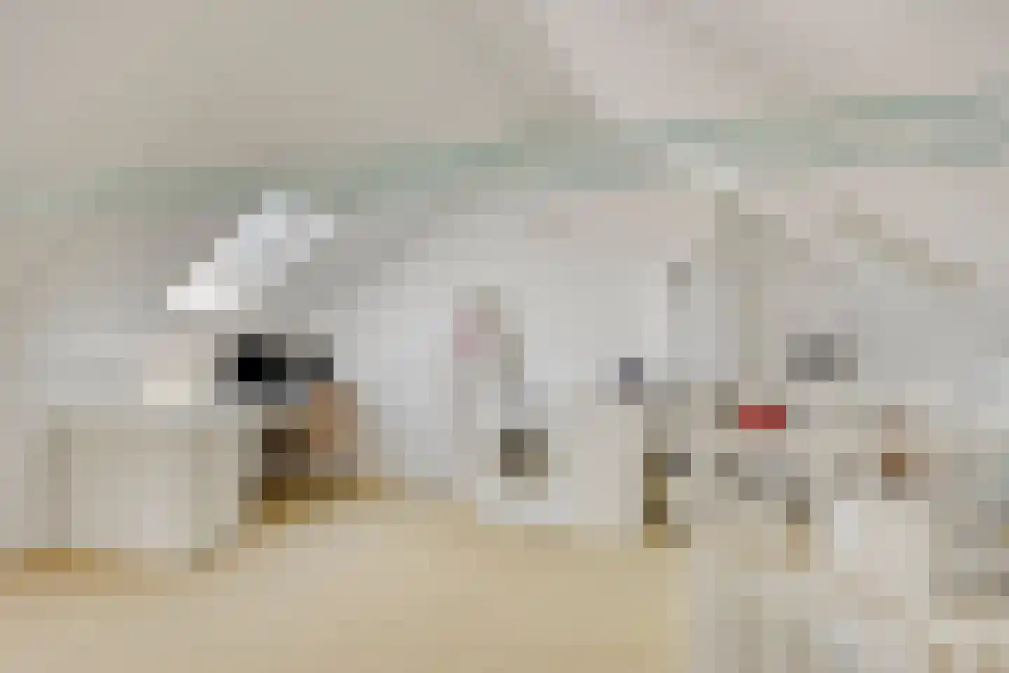 Mulder 14 Rijssen thumbnail 26