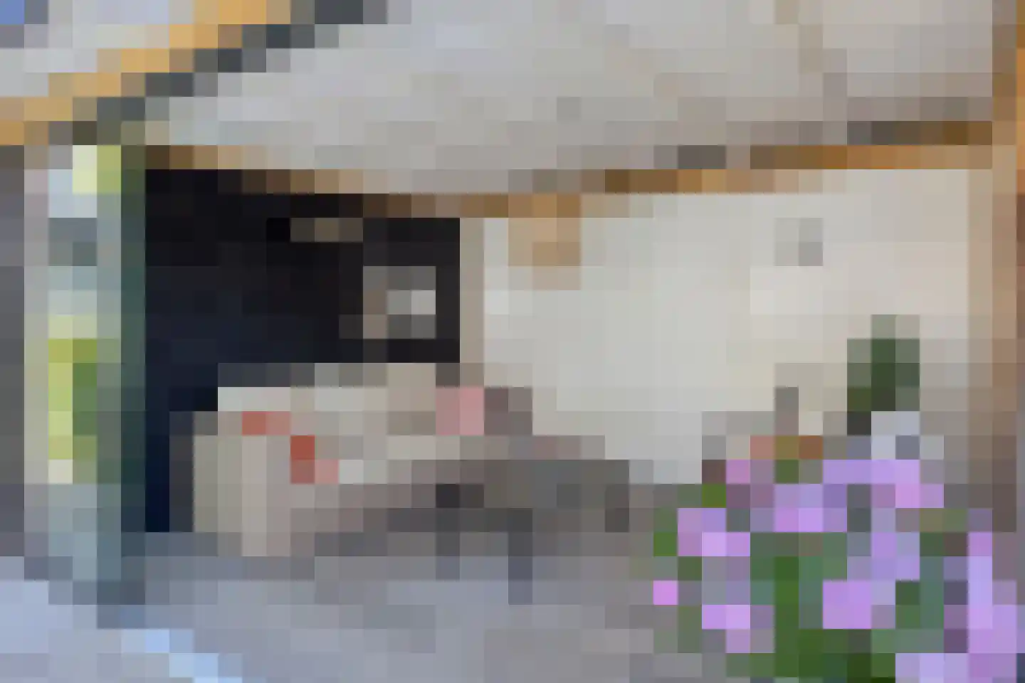 Mulder 14 Rijssen thumbnail 29