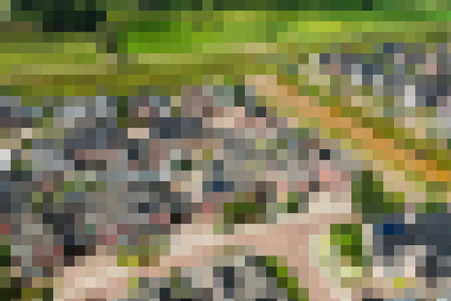 Mulder 25 Rijssen thumbnail 58