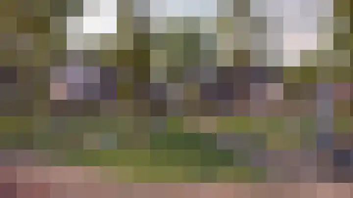 Mulder 38 Wijchen thumbnail 9