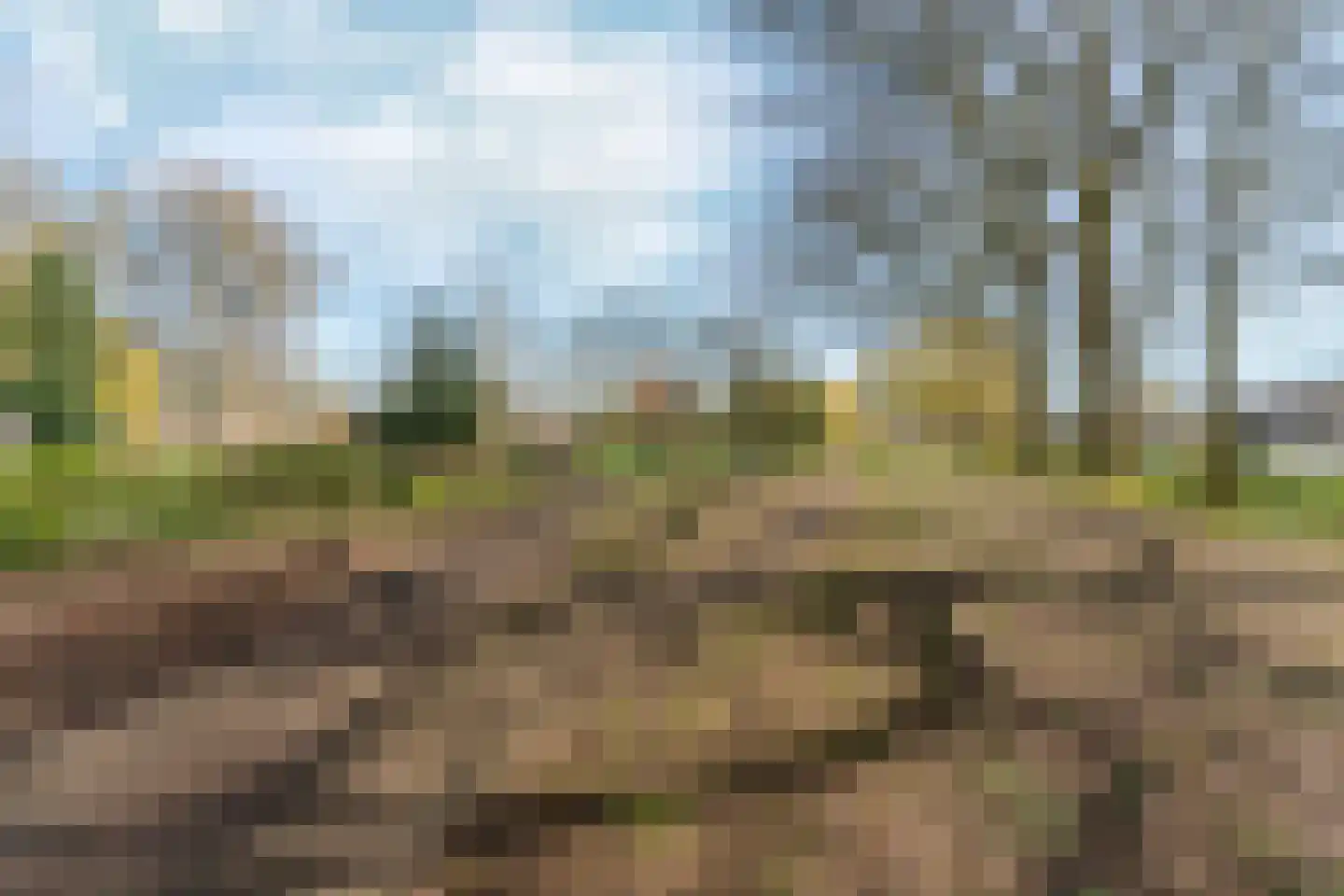 Mulder 40 Beuningen Gld thumbnail 31