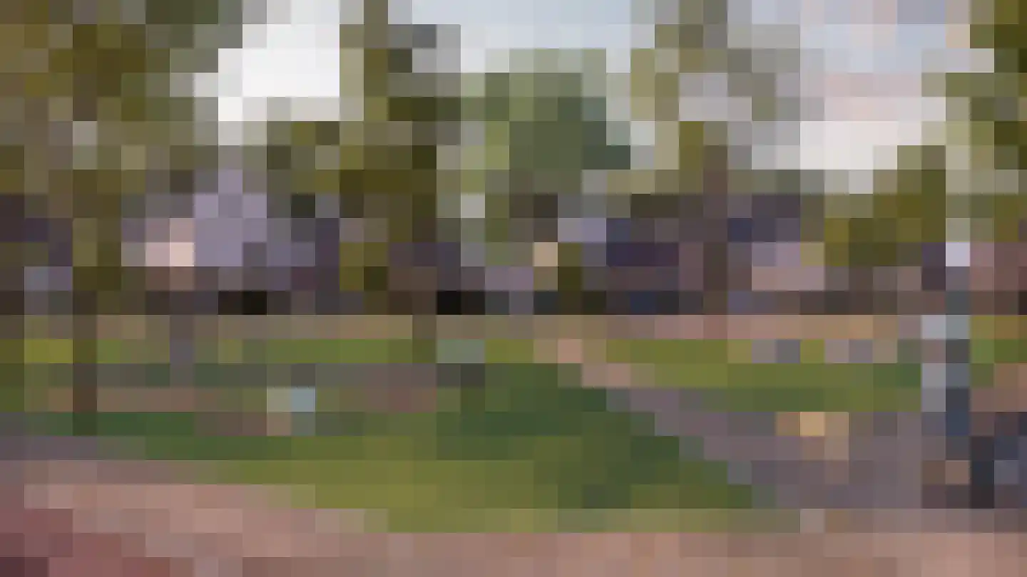 Mulder 40 Wijchen thumbnail 17